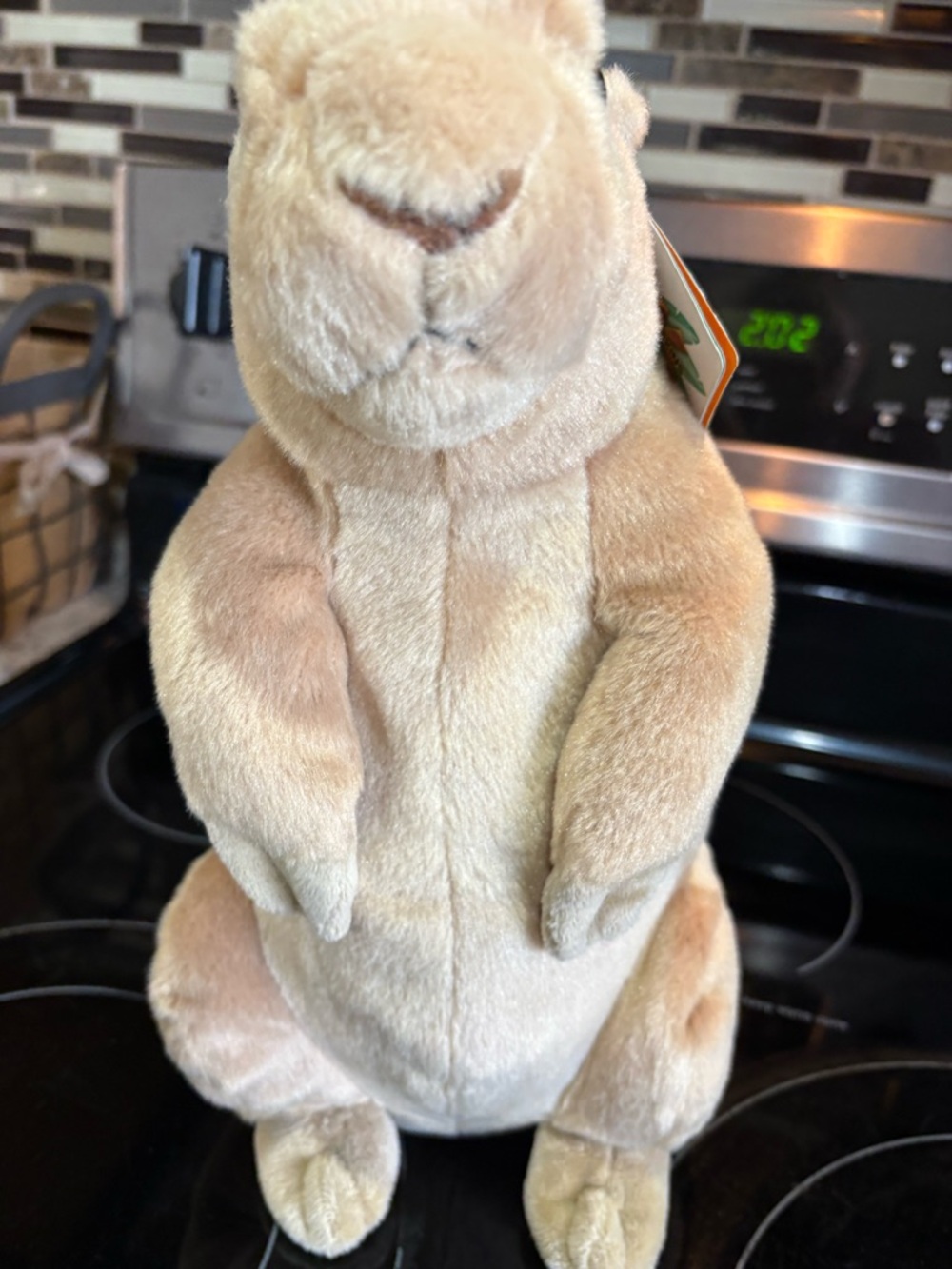 Plush Small Pet Toy - Cream Standing Plush Prairrie Dog
